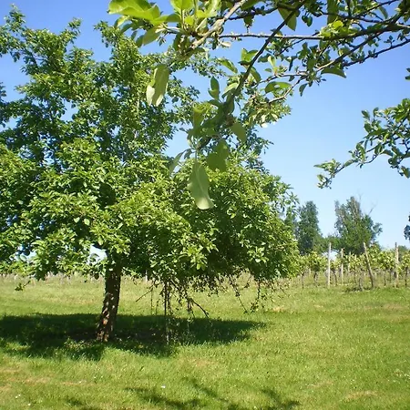 Bed & Breakfast Au Campane *